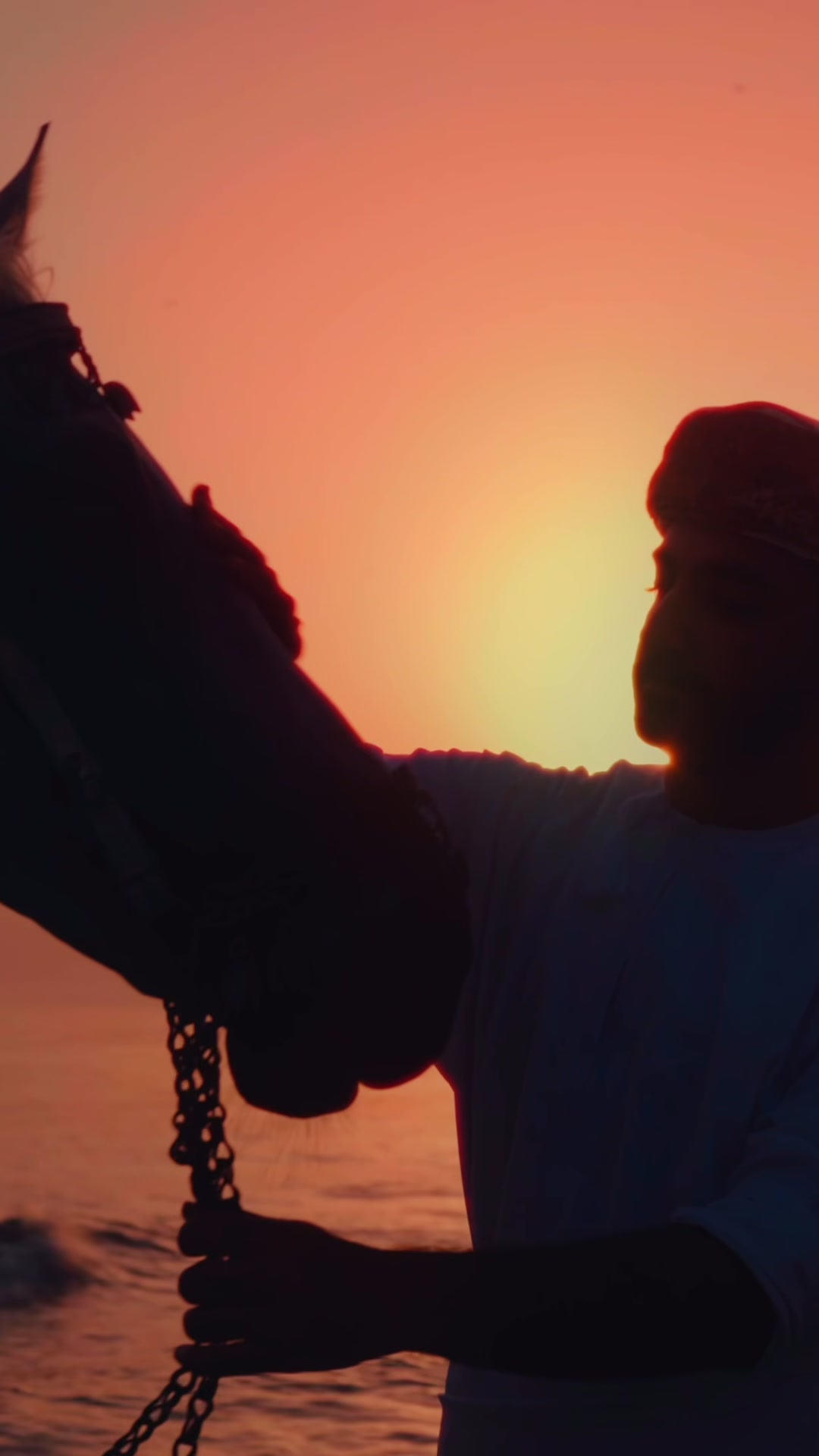 Al Bahar Stable promotional film frame